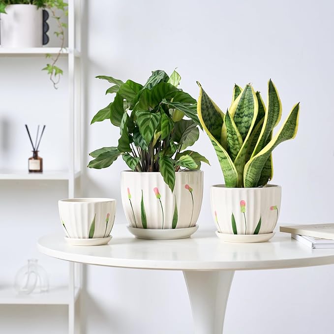 STHIE 4/5/6 Inches Ceramic Plant Pots with Drainage Holes and Saucers, Round Flower Pots for Indoor Plant, Small Flower Planters Set of 3 (White Floral-Big Size)