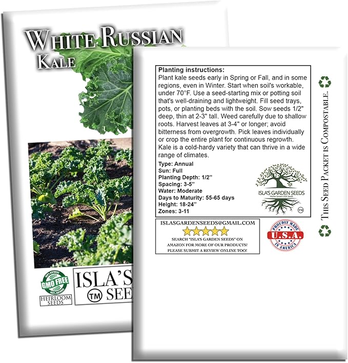 White Russian Kale Seeds (Brassica Napus) – 1000+ Heirloom Non GMO Seeds by Isla’s Garden Seeds, Tender Mild Leaves, Cold Hardy Cool-Season Green, Easy Home Garden Variety, Small & Fun Gift Idea
