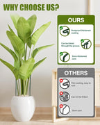 Joyhalo 12 Pack Plant Support Stakes, 24 Inch Plant Stakes for Outdoor Plants, Peony Cage with 15 Pcs Green Lables, Peony Cages and Supports, Peonies Support Cages Flower Stakes for Plants