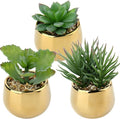 Briful Small Artificial Succulents in Pots Set of 3 Realistic Faux Succulents Plants with Gold Ceramic Pots Cute Mini Fake Plants Decor for Modern Home Table Office Desk Bathroom Shelf Decoration