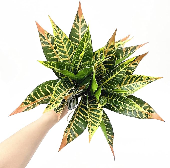 PASYOU Artificial Aglaonema Plant, Fake Codiaeum Variegatum Plants 2 Pack, Faux Magnolia Plastic Evergreen Shrubs, UV Resistant Greenery, Indoor Outdoor Decor Home Garden Decorations - Striped Leaves