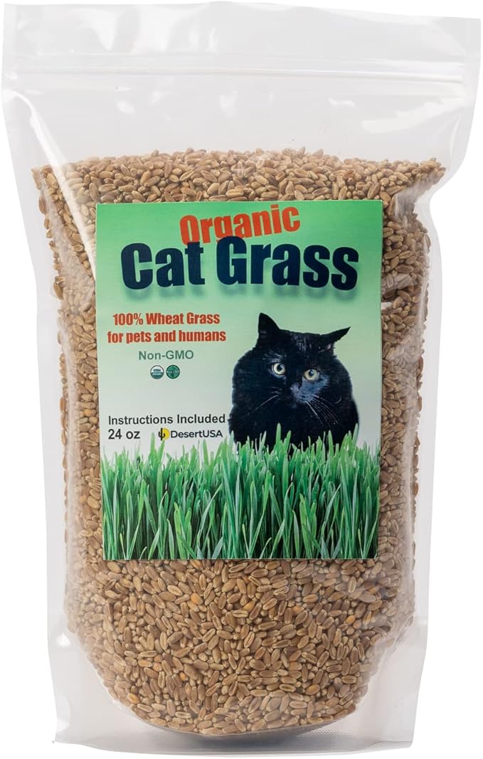 Cat Grass Seeds, Organic Non-GMO Wheatgrass, for Pet or Human Consumption Including Sprouts, Juicing, Smoothies, Instructions for Pets and Humans (24)