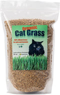 Cat Grass Seeds, Organic Non-GMO Wheatgrass, for Pet or Human Consumption Including Sprouts, Juicing, Smoothies, Instructions for Pets and Humans (24)