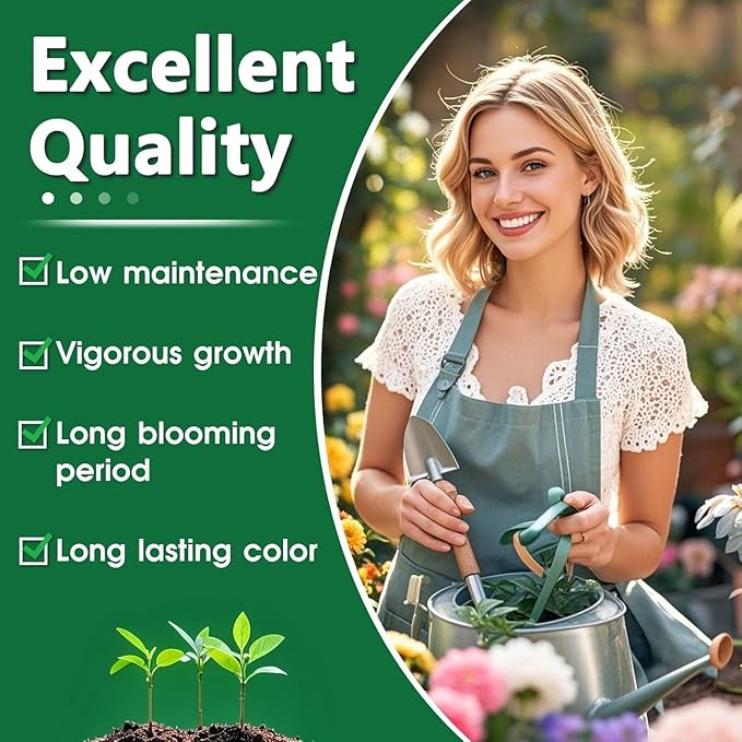 80+ Hosta Seeds - Rare Perennial Shade Plant for Gardens, Borders, and Containers - Non-GMO Heirloom, Hardy and Low Maintenance