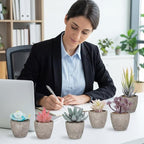 Set of 6 Artificial Succulents Potted - Realistic Mini Fake Cactus Plants in Paper Pulp Pots, 2-4'' Mixed Sizes for Farmhouse Shelf, Bathroom, Coatrack Shelf, Bedroom Indoor(Vivid Style)