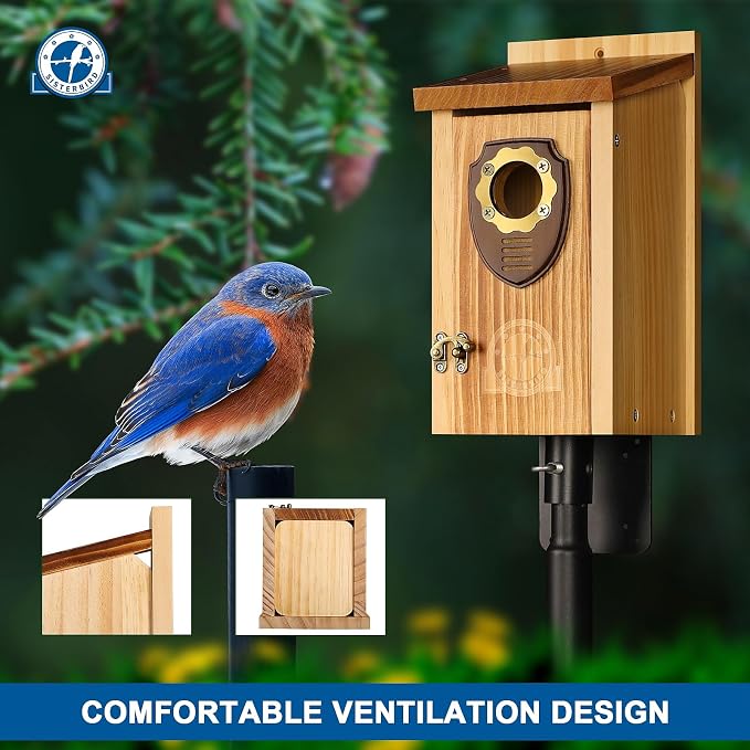 SISTERBIRD Bird Houses for Outside, Premium Wooden Bluebird Houses for Outside, Assembly Birdhouses for Outdoors, Weatherproof Bird House, Bluebird Finch Swallow Wren Chickadee