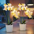 Riceshoot 2 Pack Lamp-LED Lighted Orchids Artificial Flowers, 20" White Real to Touch Faux Orchid with Pots Silk Phalaenopsis Plant for Table Centerpieces Home Office Living Room Wedding Decoration