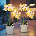 Riceshoot 2 Pack Lamp-LED Lighted Orchids Artificial Flowers, 20" White Real to Touch Faux Orchid with Pots Silk Phalaenopsis Plant for Table Centerpieces Home Office Living Room Wedding Decoration