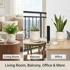 Ceramic Plant Pots, Pots for Plants(4.5+5.5inch), Flower Pots for Indoor planters with Drainage and Tray, Indoor Plant Pots for Succulents Cactus Herbs - Small Planters for Home Office Decor