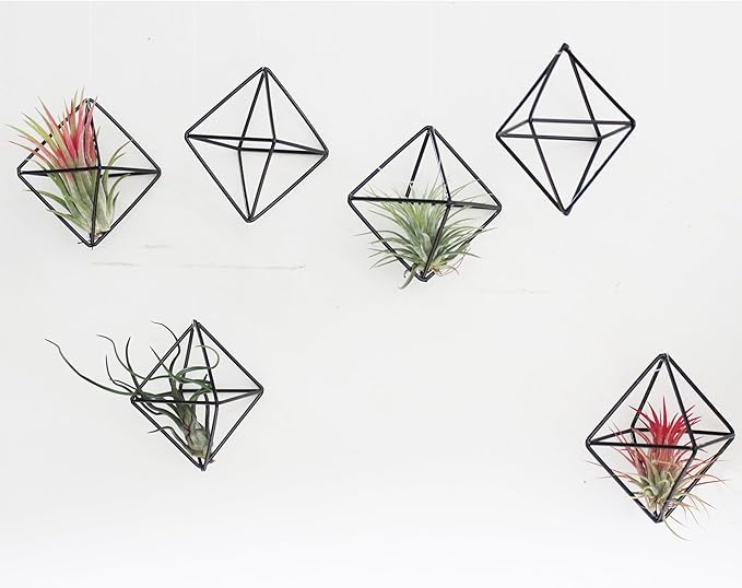6-Pack Geometric Wire Air Plant Holders, Small Black Metal Tillandsia Stands for Desk Decor, Himmeli Planter Rack for Home & Office – Cute Display for Small/Medium Air Plants