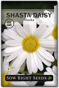 Sow Right Seeds - Shasta Daisy Seeds for Planting - Perennial Shasta Alaska Daisies - Non-GMO Heirloom Variety - Ideal for Outdoor Gardens - Easy to Grow - Drought Tolerant - Attracts Pollinators (1)