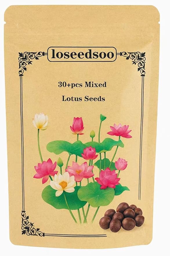 30PCS Premium Lotus Seeds for Planting in Water – Mixed Color Bowl Flower for Ponds, Bonsai, Indoor Water Gardens & Lotus Bowl Planter – Non-GMO, Easy Grow Water Lotus Seeds