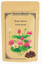 30PCS Premium Lotus Seeds for Planting in Water – Mixed Color Bowl Flower for Ponds, Bonsai, Indoor Water Gardens & Lotus Bowl Planter – Non-GMO, Easy Grow Water Lotus Seeds