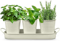 Plexon Herb Planter Indoor Garden Set of 3 with Tray, Metal Herb Pots for Indoor Plants, Round Kitchen Garden Kit Ideal for Windowsill Planter or Countertop, Off-White Powder Coated