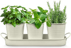 Plexon Herb Planter Indoor Garden Set of 3 with Tray, Metal Herb Pots for Indoor Plants, Round Kitchen Garden Kit Ideal for Windowsill Planter or Countertop, Off-White Powder Coated