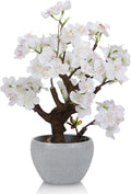 TOARTi Artificial White Cherry Blossom Potted Plant with Stone Pot, 12.6" Fake Flowers Potted Faux Plant Desk Decor, Realistic Decorative Plants Indoor Decor for for Home Bedroom Bathroom Office Desk