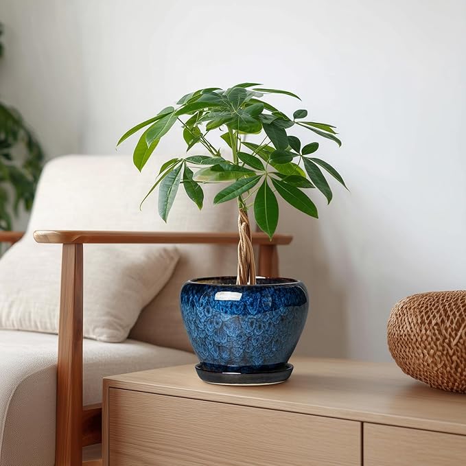 6 Inch Plant Pot - Ceramic Pots for Plants with Drainage Hole and Saucer, Round Succulent Planter Indoor Outdoor, Modern Flower Pot for Snake Plants, Home Decor, Gifts for Plant Lover, Blue