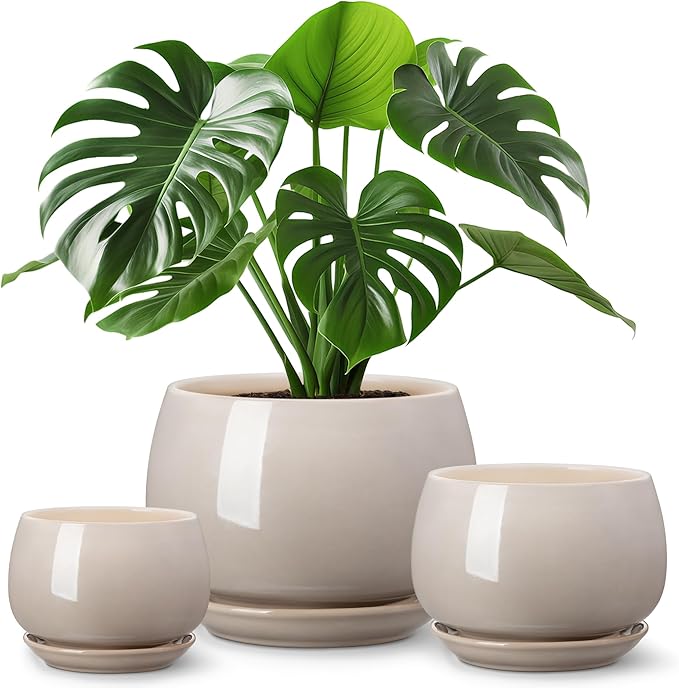 vancasso 3-Pack Ceramic Plant Pots, 3.7/4.8/6.2 Inch Indoor Planters with Saucers & Drainage Hole Planter pots for Indoor Plants and Flower, Gray