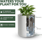8 Inch Smart Self Watering Planter with WiFi Bridge & App Control – AI Plant Care System with Sensors, Automatic Watering, Alerts – Modern Indoor Planter for Houseplants | Cordless