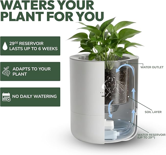 8 Inch Smart Self Watering Planter with WiFi Bridge & App Control – AI Plant Care System with Sensors, Automatic Watering, Alerts – Modern Indoor Planter for Houseplants | Cordless