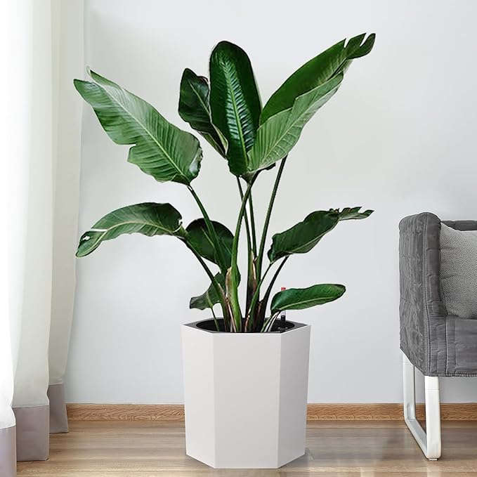 16in Plant Pots Set of 2, Self Watering Planters for Indoor Plants with Water Level Monitoring, Water Outlet for Garden Flower Pot, Patio, Balcony, Lounge, Front Porch Decor