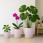 Deep Dream 8 Inch Plant Pots- Ceramic Pots for Plants with Drainage Hole and Saucer, Large Planter Pot for Indoor Plants Outdoor Decor, Pink
