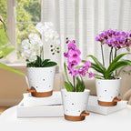 Vanslogreen Orchid Pots with Holes, 6 Inch Self Watering Orchid Pot 2 Pack Plastic Plant Pots for Orchid, Flower (White+Brown)