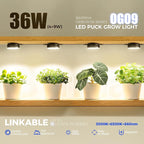 Barrina Orbgrow OG09 Puck LED Grow Light with 660nm Red LEDs, 36W(4 x 9W, 540 Watt Equiv), Plant Lights for Indoor Plants Full Spectrum, Magnetic & Linkable, Small Grow lamp, Seeding, 4 Packs, Black