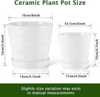 EFISPSS Ceramic Plant Pots, 5+6 Inch Pots for Indoor Plants, Planters with Drainage Holes and Tray, Modern Flower Pots Gardening Home Desktop Office Windowsill Decoration Gift Set of 2 - White