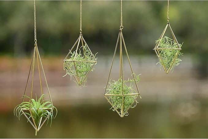 Air Plants Holders Hanging Airplants Hangers Himmeli Metal Wire 4Pcs Geometric Display Airfens Planter Frame 2 Sizes Tillandsia Holder with Chain and Hooks Decor for Home Office