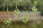 Air Plants Holders Hanging Airplants Hangers Himmeli Metal Wire 4Pcs Geometric Display Airfens Planter Frame 2 Sizes Tillandsia Holder with Chain and Hooks Decor for Home Office