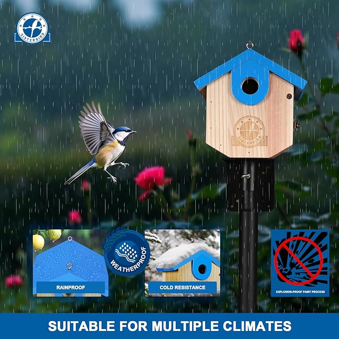 SISTERBIRD Wren Bird Houses for Outside Cedar Hanging Birdhouses for Outdoors 1-1/8" Entrance Hole Bird Houses for Outside Clearance Wooden Nesting Box Chickadee Predator Guard, Blue