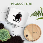 Funny Black Cat Plant Pot for Succulent, Cactus Flower Planter for Indoor Plants, Unique Succulents Pots with Drainage, Cats Owner Gifts, Home Desk Decor Planter Gift for Cat Lover (No Plants)