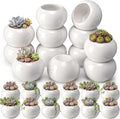24 Pack 2.5 Inch Mini Succulent Plant Ceramic Pot with Drainage Hole, Small Pineapple Clay Garden Planter for Succulents, Cactus, DIY Easter Spring Craft Activity(White,Classic)