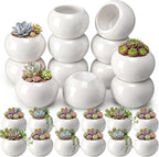 24 Pack 2.5 Inch Mini Succulent Plant Ceramic Pot with Drainage Hole, Small Pineapple Clay Garden Planter for Succulents, Cactus, DIY Easter Spring Craft Activity(White,Classic)