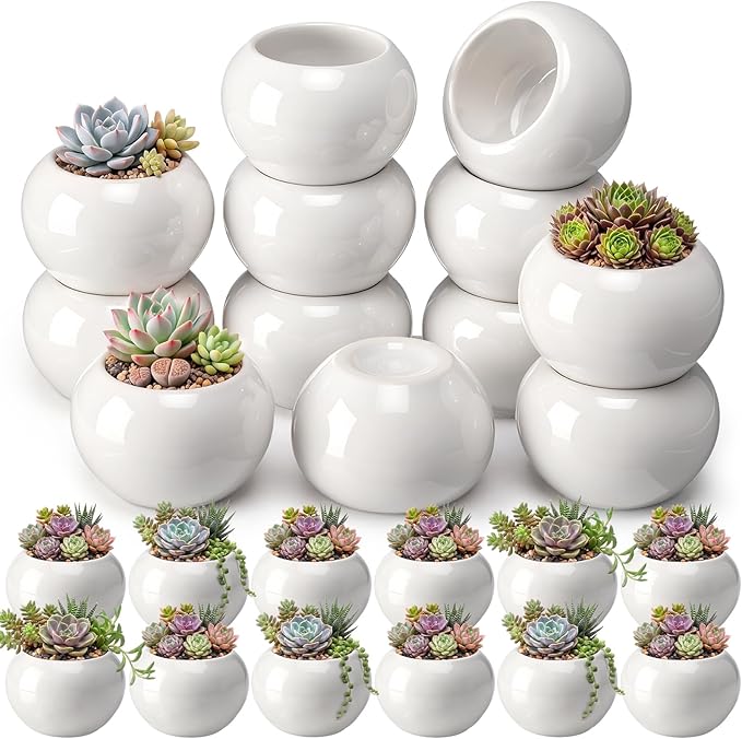 24 Pack 2.5 Inch Mini Succulent Plant Ceramic Pot with Drainage Hole, Small Pineapple Clay Garden Planter for Succulents, Cactus, DIY Easter Spring Craft Activity(White,Classic)