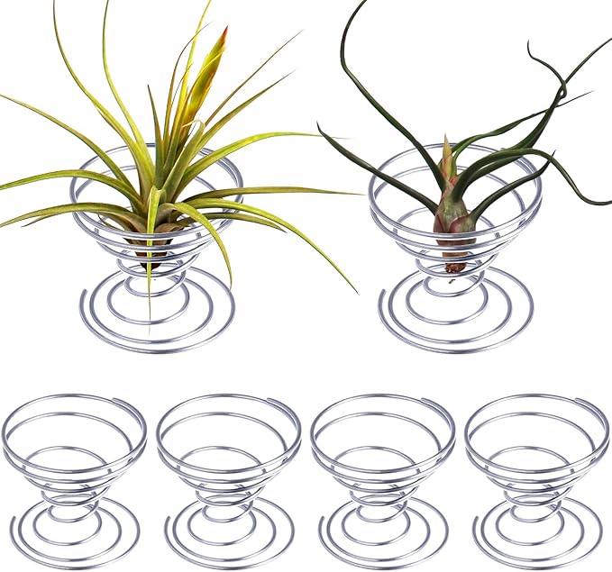 Shappy 6 Pieces Air Plant Holder Air Plant Live Holders Outdoor Stainless Steel Tillandsia Base Container Display Rack for Tropical Home Desktop Office Decoration Supplies, Silver