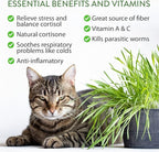 HOME GROWN 2,160+ Cat Plant Seeds Mix – Non GMO Heirloom Catnip, Lemongrass, Licorice, Thyme & Valerian – Pet-Friendly Indoor Garden Refill Kit for Cats & Kittens