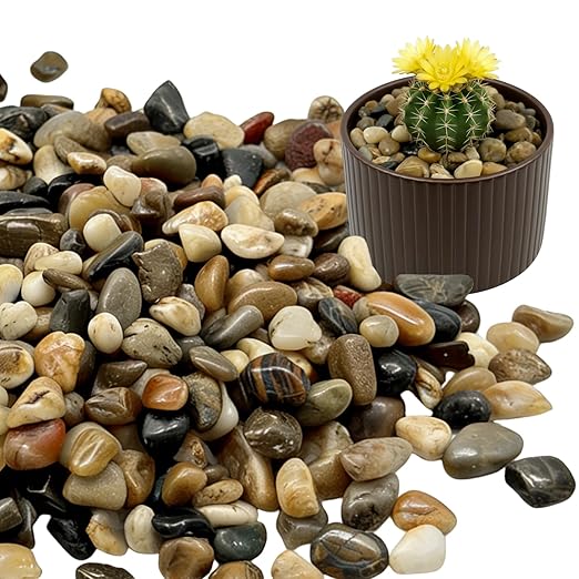 Vibrant Polished Multi-Color Pebbles, 3/8 Inch Assorted Decorative Rocks for Plants - Colorful River Gravel for Succulent, Vase, Aquarium, Fairy Garden, Planter, Indoor/Outdoor Decor-12LB