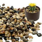 Vibrant Polished Multi-Color Pebbles, 3/8 Inch Assorted Decorative Rocks for Plants - Colorful River Gravel for Succulent, Vase, Aquarium, Fairy Garden, Planter, Indoor/Outdoor Decor-12LB