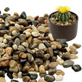 Vibrant Polished Multi-Color Pebbles, 3/8 Inch Assorted Decorative Rocks for Plants - Colorful River Gravel for Succulent, Vase, Aquarium, Fairy Garden, Planter, Indoor/Outdoor Decor-6LB