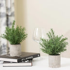 Coferset 2 Pack Small Fake Plants Rosemary Potted Artificial Plants for Shelf Desk Home Bathroom Farmhouse Room Coffee Table Decor (Green)