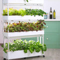 FLTRGO Indoor Garden Hydroponic Growing System,3/4 Tier Hydroponics Tower Set,Hydroponic Planter,Plant Vertical Hydroponics,Suitable for Planting Leafy Vegetables,Stem Vegetables