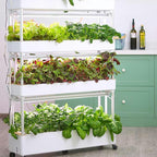 FLTRGO Indoor Garden Hydroponic Growing System,3/4 Tier Hydroponics Tower Set,Hydroponic Planter,Plant Vertical Hydroponics,Suitable for Planting Leafy Vegetables,Stem Vegetables