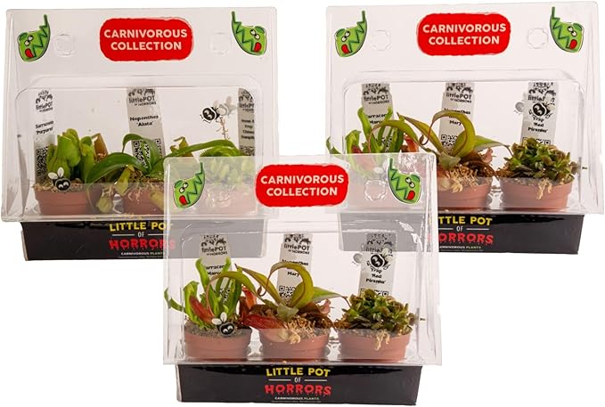 Costa Farms Live Carnivorous Plant Collection (9-Pack): Venus Flytraps, Sarracenia Pitcher Plants, and Nepenthes – Easy Care Indoor Predator Exotic Houseplants