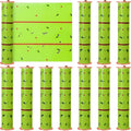 Qualirey Giant Sticky Fly Traps, Fly Strips for Indoor Outdoor Hanging Flying Tapes Non Toxic Ribbon Fruit Gnat Killer for Mosquito Plants House Horse Stable(147.65ft,Fluorescent Green,5 Pcs)