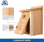 SISTERBIRD Bluebird Houses for Outside, Blue Bird Houses for Outdoors, Premium Bird House, Pack of 2 Bluebird House, Wooden Birdhouses Kits for Adults for Durable Yard Decor