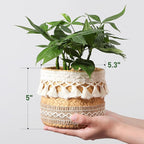 vomiceak Concrete Rattan-Style Plant Basket Planter, 5" Boho Plant Pots Indoor Outdoor with Drainage Hole, Flower Pot for Succulents, Herbs, Modern Farmhouse Decor, Ideal Gift for Plant Lovers
