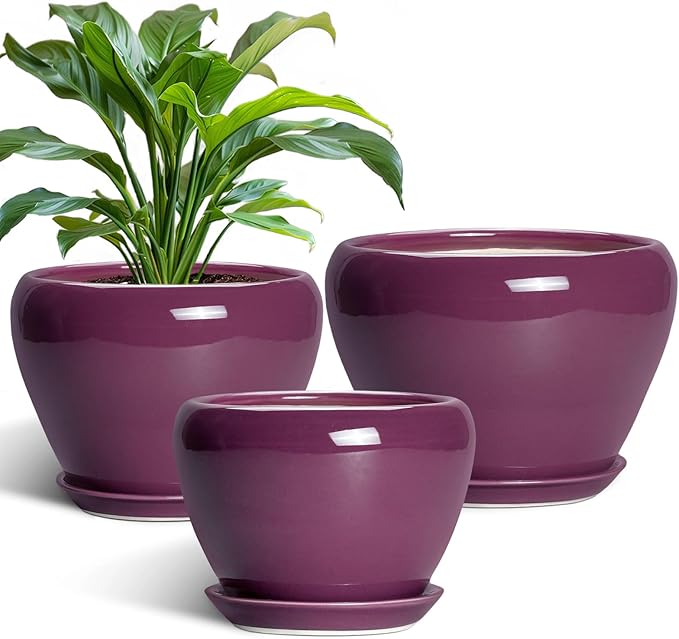 10+8+6 Inch Ceramic Plant Pots, Ceramic Planter for Indoor Outdoor Plants, Round Planter with Drainage Holes and Saucers, Indoor Flower Pots, Room Decor, Housewarming Gift, Set of 3, Purple