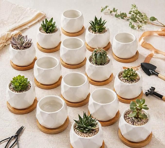 ZOUTOG Succulent Plant Pot 12 Pack, 2.5 inch Square Pattern Ceramic Planters with Bamboo Tray, Small Succulent Pots Indoor, White Office Desk Decor (Seeds＆ Plants Not Included)